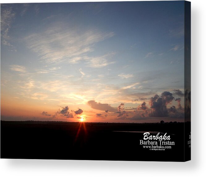 Hearts In The Distance Acrylic Print featuring the photograph Hearts in the Distance by Barbara Tristan