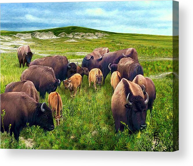 Buffalo Acrylic Print featuring the digital art Herd Hierarchy by Ric Darrell