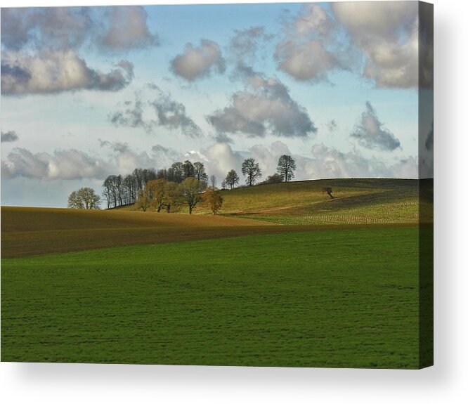 Country Drive Acrylic Print featuring the photograph Hill Country by Bonnie Bruno