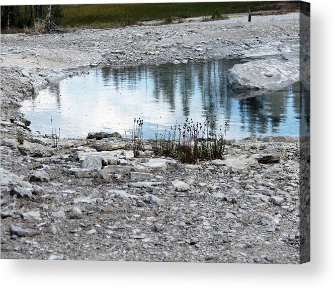 Hot Acrylic Print featuring the photograph Hot Reflection by Laurel Powell