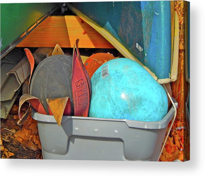 Color Still Life Acrylic Print featuring the photograph Housesitting 27 by George Ramos