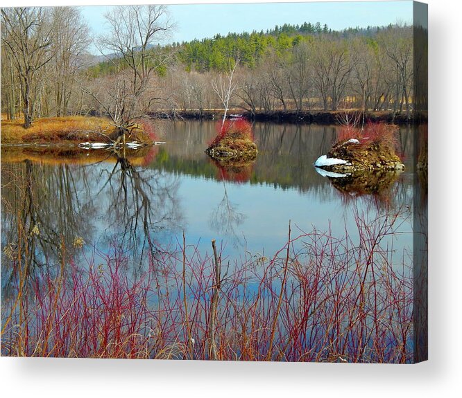 New England Landscape Acrylic Print featuring the photograph Housesitting 41 #1 by George Ramos