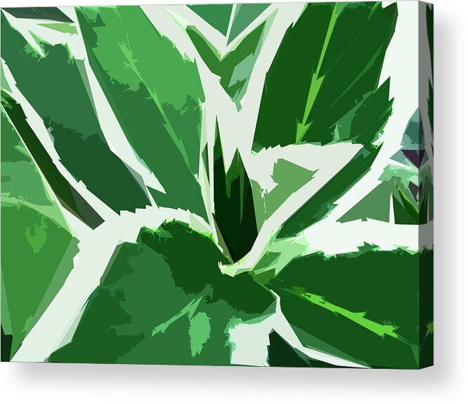 Foliage Acrylic Print featuring the digital art Hydrangea by Gina Harrison