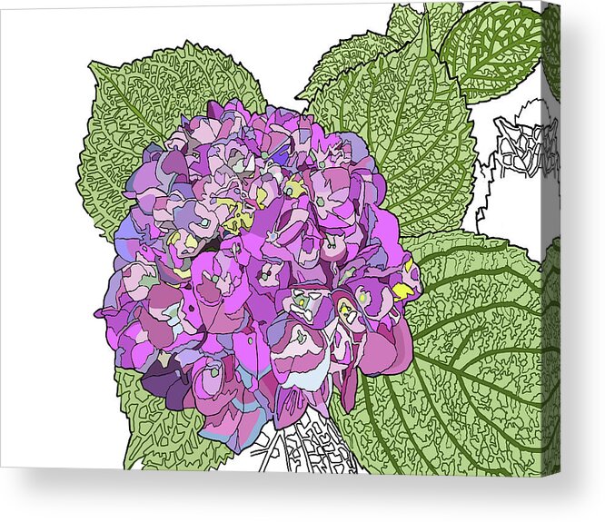 Hydrangea Acrylic Print featuring the painting Hydrangea by Jamie Downs