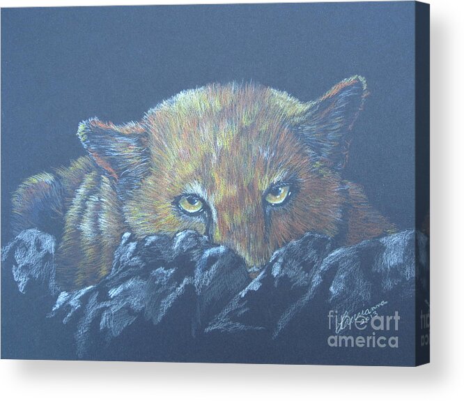 Mountain Lion Acrylic Print featuring the drawing I See You by Laurianna Taylor