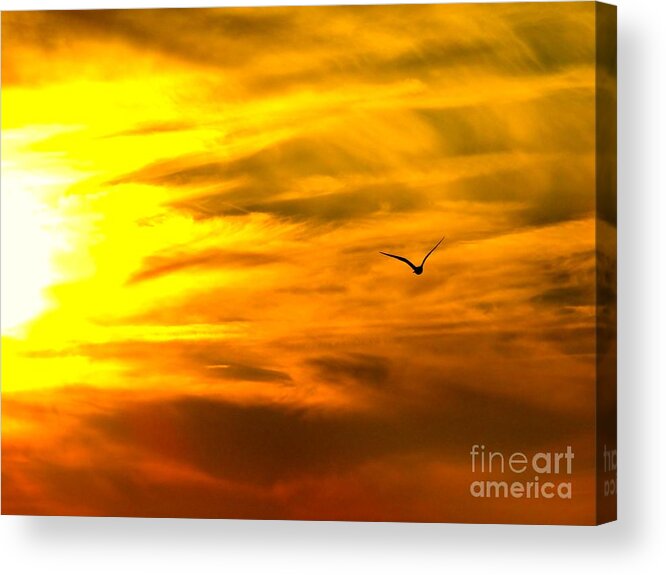 Sun Acrylic Print featuring the photograph Icarus Rising by Jean Wright