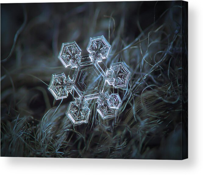 Snowflake Acrylic Print featuring the photograph Icy jewel by Alexey Kljatov