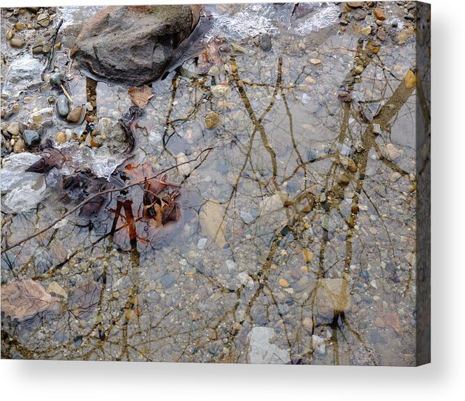Water Acrylic Print featuring the photograph Icy Stream by Scott Kingery