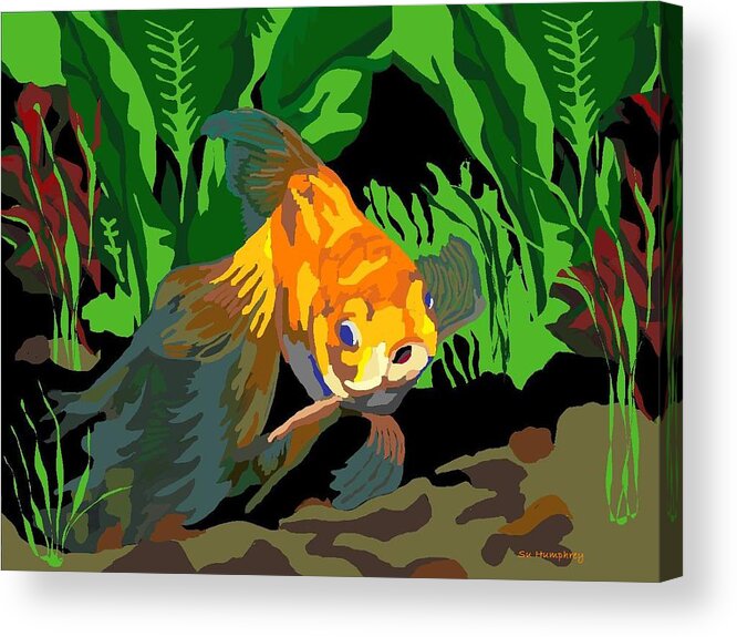 Goldfish Acrylic Print featuring the digital art IL Pesce d'Oro by Su Humphrey