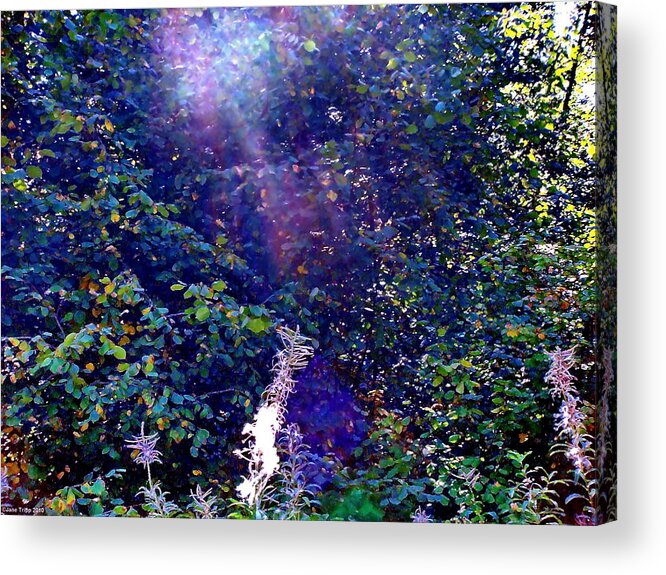 Impressionist Photographic Landscape Acrylic Print featuring the photograph In The Hedgerow  by Jane Tripp