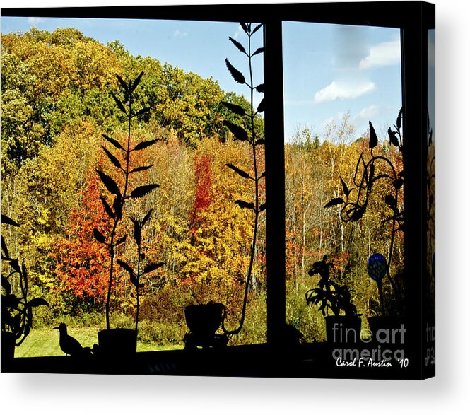 Fall Acrylic Print featuring the photograph Inside Looking Outside at Fall Splendor by Carol F Austin