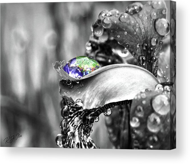 Iris Acrylic Print featuring the digital art Iris In Black And Color by Kathleen Illes