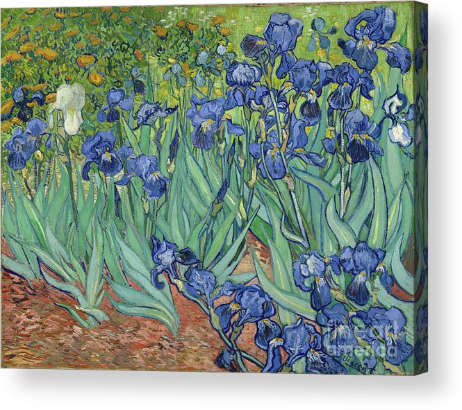 Famous Acrylic Print featuring the painting Irises by Vincent van Gogh by Esoterica Art Agency