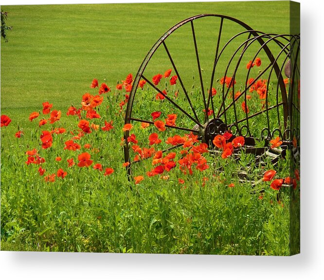 Yard Acrylic Print featuring the photograph Iron Wheel with Orange Poppies by Jeanette Oberholtzer