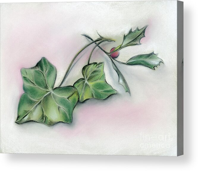 Holly Acrylic Print featuring the pastel Ivy Leaves and Holly by MM Anderson