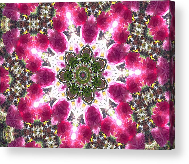 Kaleidoscope Acrylic Print featuring the photograph Kaleidoscope in Multi Color Seventeen by Morgan Carter