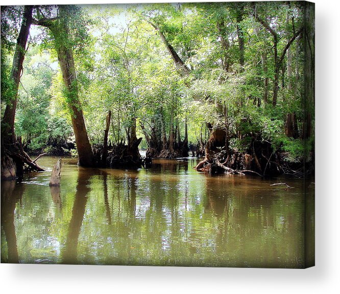 Green Acrylic Print featuring the photograph Land Of The Lost by Debra Forand