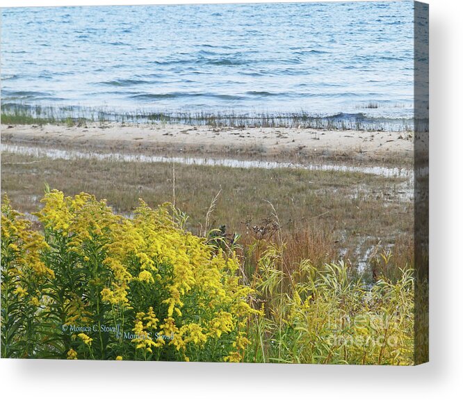 Landscapes Acrylic Print featuring the photograph Landscapes L206 by Monica C Stovall