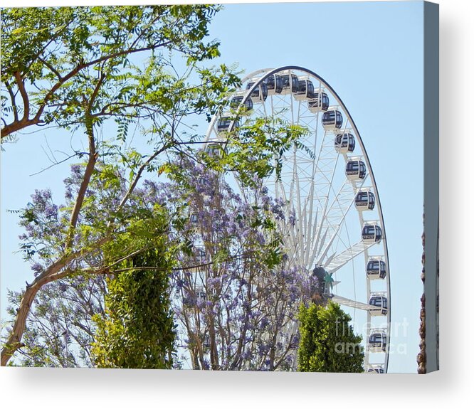 Photography Acrylic Print featuring the photograph Life by Chris Tarpening