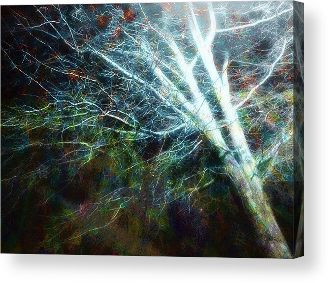 Night Acrylic Print featuring the photograph Life Still Looks Good by Andy Rhodes