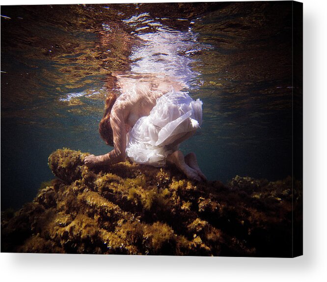 Swim Acrylic Print featuring the photograph Like a Stone by Gemma Silvestre