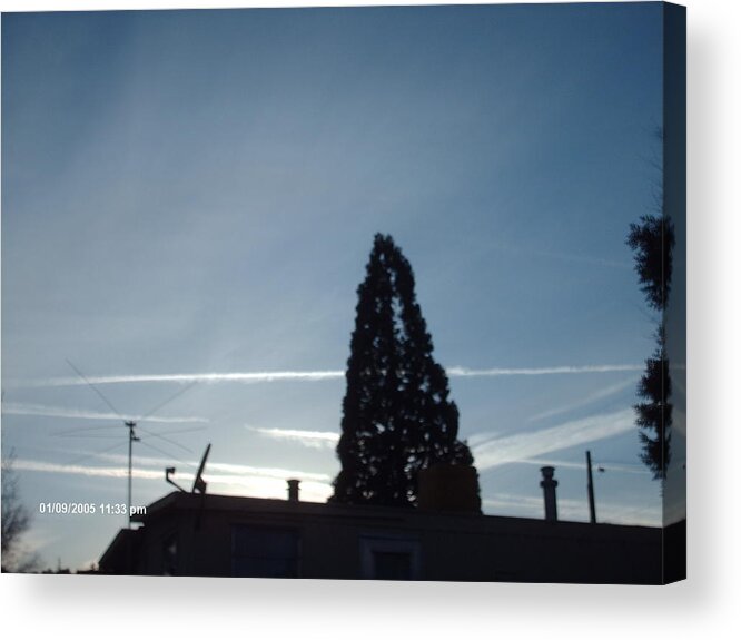  Acrylic Print featuring the photograph Lines by Jennifer Wall