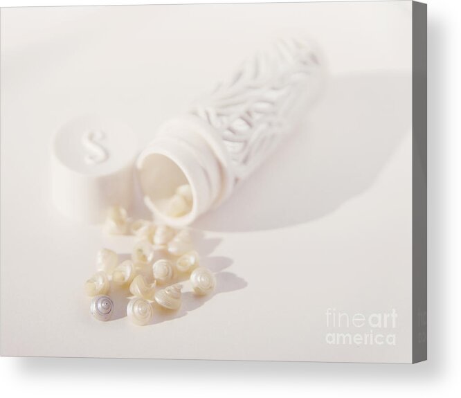 White Acrylic Print featuring the photograph Little white seashells by Cindy Garber Iverson