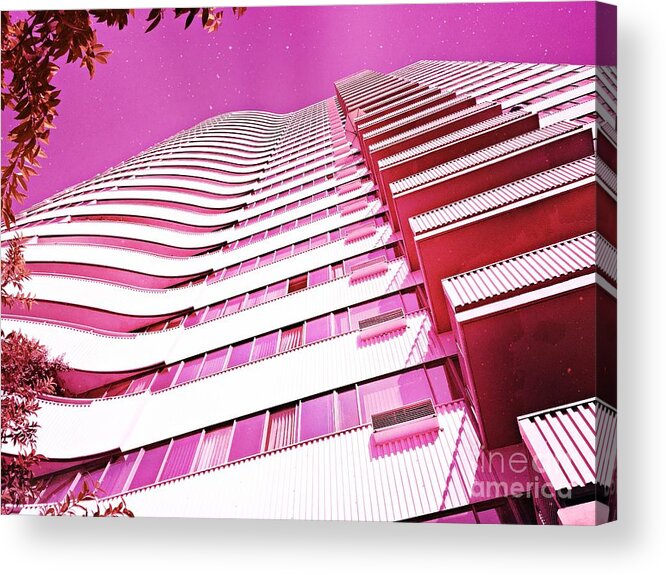 500 Views Acrylic Print featuring the photograph Living Pink by Jenny Revitz Soper