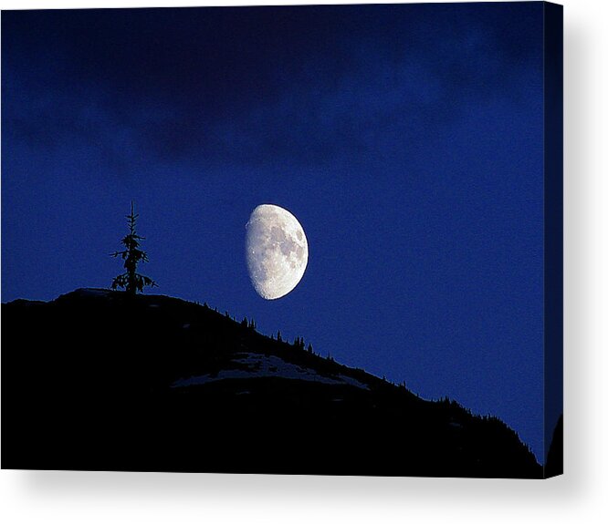 Mountain Acrylic Print featuring the photograph Lonely Companion by Blair Wainman