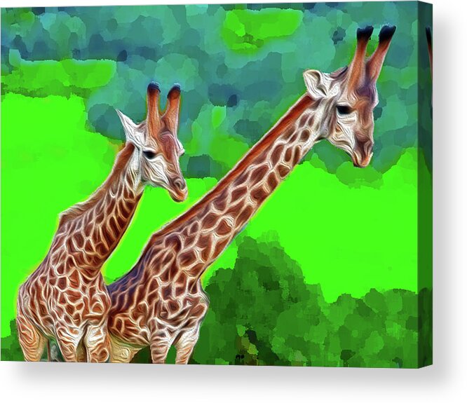 Animals Acrylic Print featuring the digital art Long Necked Giraffes 3 by Bruce IORIO