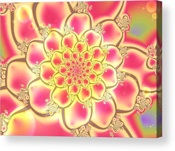 Plant Acrylic Print featuring the digital art Lotus by Anastasiya Malakhova