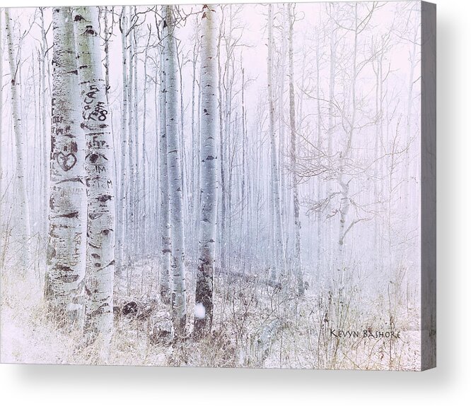 Landscape Acrylic Print featuring the photograph Love Amidst the Aspens by Kevyn Bashore