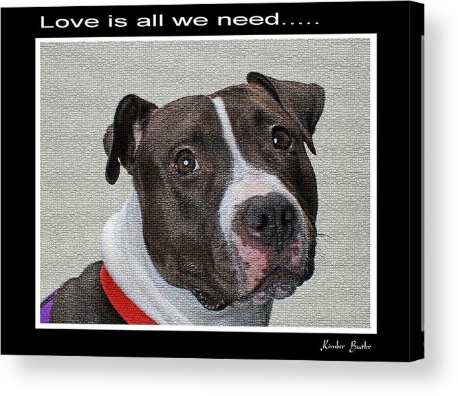 Pitbull Photography Acrylic Print featuring the painting Love is all we need by Kimber Butler