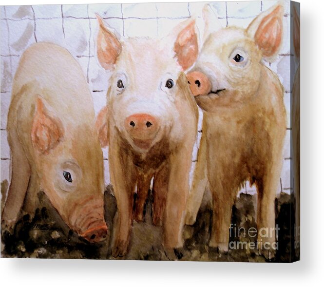 Piglets Acrylic Print featuring the painting Love on the Farm by Carol Grimes