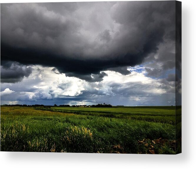     Wheat Photographs Acrylic Print featuring the photograph Low Cloud by David Matthews
