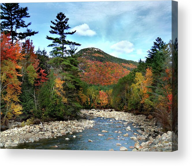 Autumn Acrylic Print featuring the photograph Mad River by Welch and Dickey by Nancy Griswold