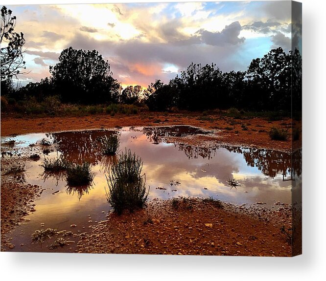 Rain Acrylic Print featuring the photograph Magic in a Rain Puddle by Brad Hodges