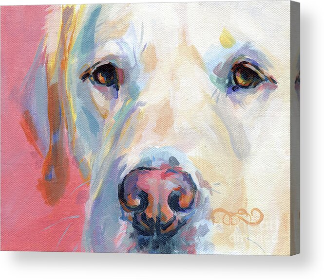 Yellow Lab Acrylic Print featuring the painting Martha's Pink Nose by Kimberly Santini
