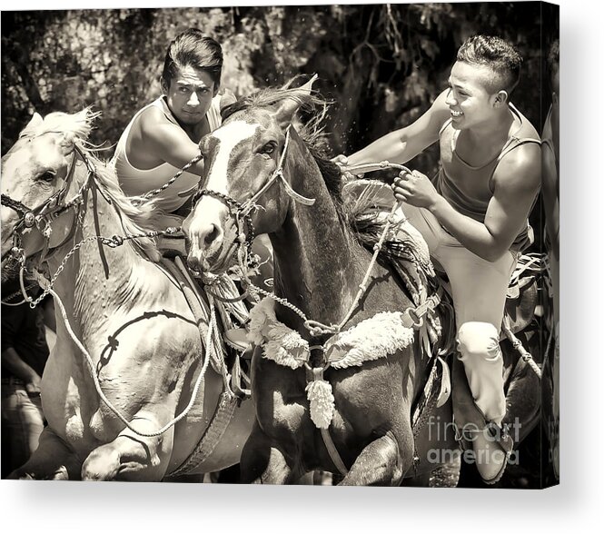 Horses Acrylic Print featuring the photograph Maximum Power by Barry Weiss
