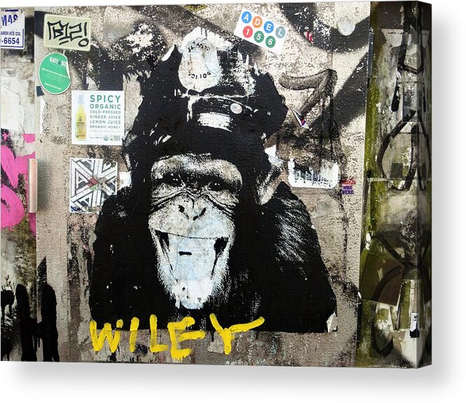 Monkey Acrylic Print featuring the photograph Meet Wiley in New York by Funkpix Photo Hunter