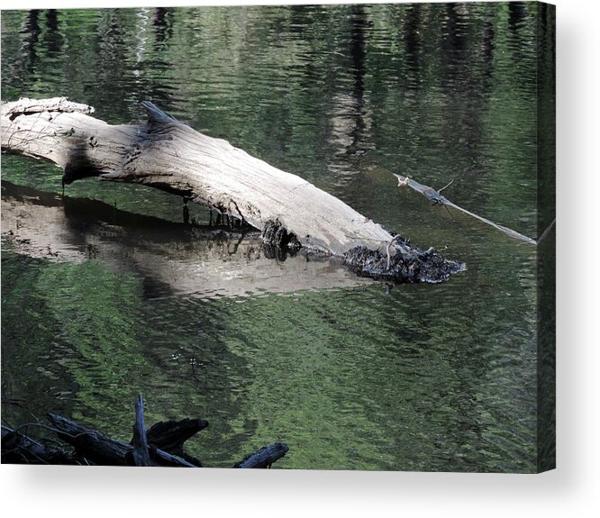 River Acrylic Print featuring the photograph Merced River 5 by Eric Forster