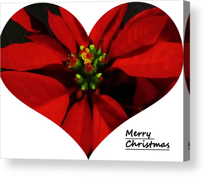 Christmas Acrylic Print featuring the photograph Merry Christmas all by Vijay Sharon Govender