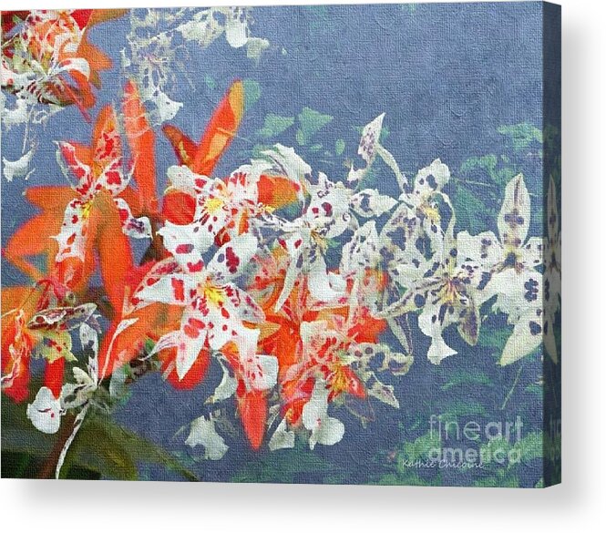 Photographic Art Acrylic Print featuring the digital art Mix of Orchids by Kathie Chicoine