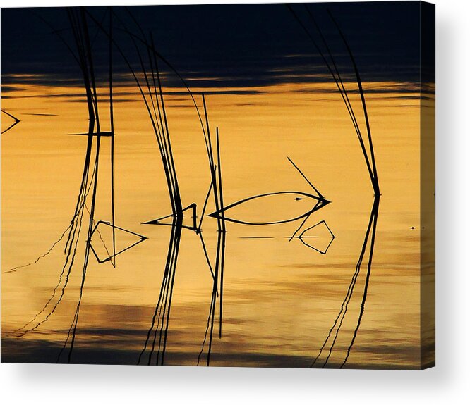 Reeds Acrylic Print featuring the photograph Momentary Tranquil Reflection by Blair Wainman