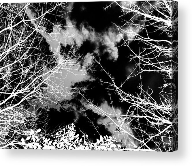 Abstract Landscape. Dark Botanical Acrylic Print featuring the photograph Monochrome winter sky and trees by Itsonlythemoon -