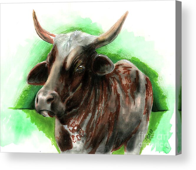 Cow Acrylic Print featuring the drawing Moo 2 by Samantha Strong