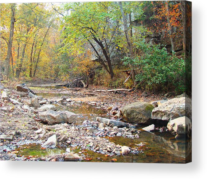 Moore\'s Creek Acrylic Print featuring the photograph Moore's Creek by Terry Anderson