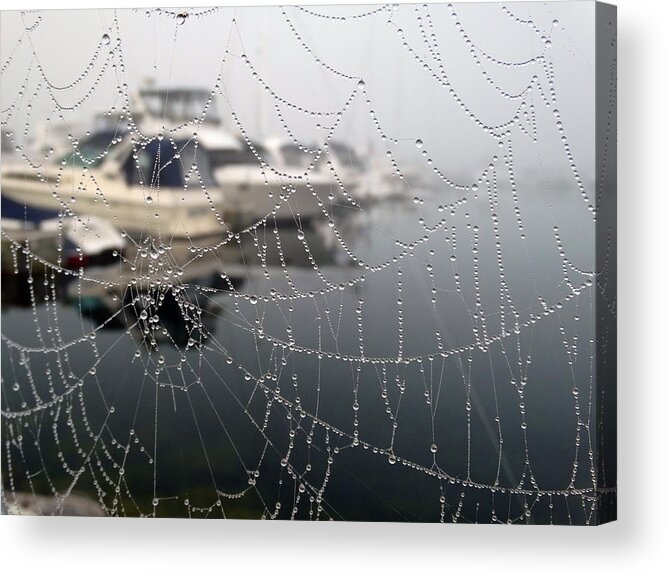 Foggy Acrylic Print featuring the photograph Morning Dew at the Marina by David T Wilkinson