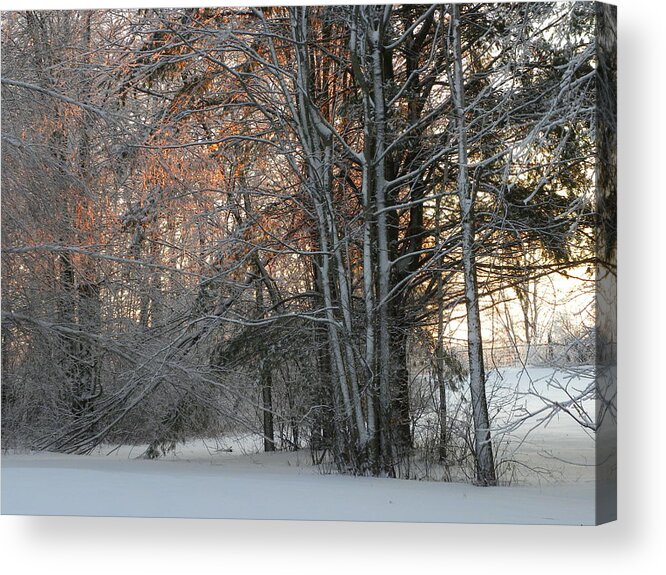 Trees Acrylic Print featuring the photograph Morning has Broken by Peggy McDonald