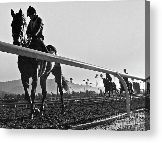 Horses Acrylic Print featuring the photograph Morning Workout by Tom Griffithe